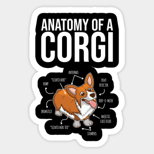 'Anatomy of a Corgi' Adorable Corgis Dog Sticker